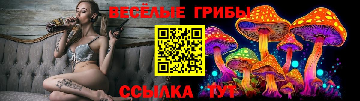 Псилоцибиновые грибы MAGIC MUSHROOMS Гусиноозёрск